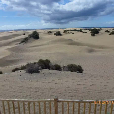 Sun Club Premium Bungalow, Gartenblick 플라야 델 잉글스